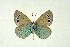  ( - DNAwthGla 030)  @13 [ ] Copyright (2016) Wolfgang Ten Hagen Wolfgang ten Hagen Research Collection