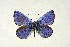  ( - DNAwthGla 037)  @13 [ ] Copyright (2016) Wolfgang Ten Hagen Wolfgang ten Hagen Research Collection