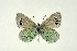  ( - DNAwthGla 037)  @13 [ ] Copyright (2016) Wolfgang Ten Hagen Wolfgang ten Hagen Research Collection