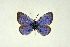  ( - DNAwthGla 038)  @13 [ ] Copyright (2016) Wolfgang Ten Hagen Wolfgang ten Hagen Research Collection