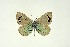  ( - DNAwthGla 038)  @13 [ ] Copyright (2016) Wolfgang Ten Hagen Wolfgang ten Hagen Research Collection