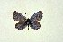 ( - DNAwthGla 040)  @12 [ ] Copyright (2016) Wolfgang Ten Hagen Wolfgang ten Hagen Research Collection
