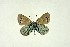  ( - DNAwthGla 040)  @12 [ ] Copyright (2016) Wolfgang Ten Hagen Wolfgang ten Hagen Research Collection