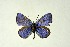  ( - DNAwthGla 041)  @13 [ ] Copyright (2016) Wolfgang Ten Hagen Wolfgang ten Hagen Research Collection