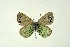  ( - DNAwthGla 041)  @13 [ ] Copyright (2016) Wolfgang Ten Hagen Wolfgang ten Hagen Research Collection