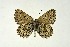  ( - DNAwthGla 044)  @13 [ ] Copyright (2016) Wolfgang Ten Hagen Wolfgang ten Hagen Research Collection