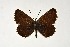  ( - DNAwthGla 045)  @14 [ ] Copyright (2016) Wolfgang Ten Hagen Wolfgang ten Hagen Research Collection