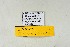  ( - DNAwthGla 045)  @12 [ ] Copyright (2016) Wolfgang Ten Hagen Wolfgang ten Hagen Research Collection