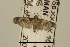  ( - USNM ENT 00933878)  @14 [ ] Unspecified (default): All Rights Reserved  Unspecified Unspecified