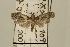  ( - USNM ENT 00933877)  @14 [ ] Unspecified (default): All Rights Reserved  Unspecified Unspecified