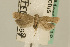 ( - USNM ENT 00933919)  @13 [ ] Unspecified (default): All Rights Reserved  Unspecified Unspecified