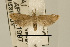  ( - USNM ENT 00933821)  @13 [ ] Unspecified (default): All Rights Reserved  Unspecified Unspecified