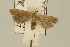  ( - USNM ENT 00933823)  @13 [ ] Unspecified (default): All Rights Reserved  Unspecified Unspecified