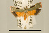  ( - USNM ENT 00669497)  @14 [ ] Unspecified (default): All Rights Reserved  Unspecified Unspecified