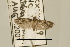  ( - USNM ENT 00202712)  @14 [ ] Unspecified (default): All Rights Reserved  Unspecified Unspecified