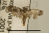  ( - USNM ENT 00202839)  @13 [ ] Unspecified (default): All Rights Reserved  Unspecified Unspecified