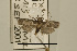  ( - USNM ENT 00203189)  @14 [ ] Unspecified (default): All Rights Reserved  Unspecified Unspecified