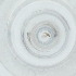  (Aprionus demonstrativus - MOZZ00000923A_A12)  @11 [ ] by (2004) Genome Research Ltd as Wellcome Sanger Institute Genome Research Limited operating as Wellcome Sanger Institute