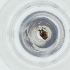  ( - MOZZ00000923A_C7)  @11 [ ] by (2004) Genome Research Ltd as Wellcome Sanger Institute Genome Research Limited operating as Wellcome Sanger Institute
