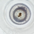  ( - MOZZ00000924A_B9)  @11 [ ] by (2004) Genome Research Ltd as Wellcome Sanger Institute Genome Research Limited operating as Wellcome Sanger Institute