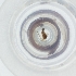  ( - MOZZ00000924A_G8)  @11 [ ] by (2004) Genome Research Ltd as Wellcome Sanger Institute Genome Research Limited operating as Wellcome Sanger Institute