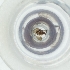  ( - MOZZ00000924A_H7)  @11 [ ] by (2004) Genome Research Ltd as Wellcome Sanger Institute Genome Research Limited operating as Wellcome Sanger Institute
