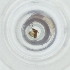  ( - MOZZ00000930A_F4)  @11 [ ] by (2004) Genome Research Ltd as Wellcome Sanger Institute Genome Research Limited operating as Wellcome Sanger Institute