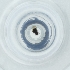  ( - MOZZ00000991A_A7)  @11 [ ] by (2004) Genome Research Ltd as Wellcome Sanger Institute Genome Research Limited operating as Wellcome Sanger Institute