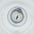  ( - MOZZ00000991A_D1)  @11 [ ] by (2004) Genome Research Ltd as Wellcome Sanger Institute Genome Research Limited operating as Wellcome Sanger Institute