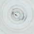  ( - MOZZ00000992A_F4)  @11 [ ] by (2004) Genome Research Ltd as Wellcome Sanger Institute Genome Research Limited operating as Wellcome Sanger Institute