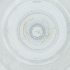  ( - YARN_001_B3)  @11 [ ] by (2004) Genome Research Ltd as Wellcome Sanger Institute Genome Research Limited operating as Wellcome Sanger Institute