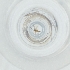  ( - YARN_001_E11)  @11 [ ] by (2004) Genome Research Ltd as Wellcome Sanger Institute Genome Research Limited operating as Wellcome Sanger Institute