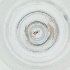  ( - YARN_007_E9)  @11 [ ] by (2004) Genome Research Ltd as Wellcome Sanger Institute Genome Research Limited operating as Wellcome Sanger Institute