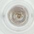  ( - YARN_009_E8)  @11 [ ] by (2004) Genome Research Ltd as Wellcome Sanger Institute Genome Research Limited operating as Wellcome Sanger Institute