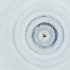 ( - YARN_026_G7)  @11 [ ] by  Genome Research Ltd as Wellcome Sanger Institute Genome Research Limited operating as Wellcome Sanger Institute