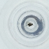  ( - YARN_030_E7)  @11 [ ] by  Genome Research Ltd as Wellcome Sanger Institute Genome Research Limited operating as Wellcome Sanger Institute