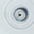  ( - YARN_031_B12)  @11 [ ] by  Genome Research Ltd as Wellcome Sanger Institute Genome Research Limited operating as Wellcome Sanger Institute