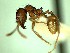  ( - HICD_B5_B)  @12 [ ] CreativeCommons - Attribution (2016) David Donoso Universidad de Cuenca