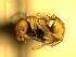  ( - HICD_B9)  @12 [ ] CreativeCommons - Attribution (2016) David Donoso Universidad de Cuenca