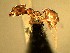  ( - HICD_E5_A)  @12 [ ] CreativeCommons - Attribution (2016) David Donoso Universidad de Cuenca