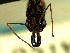  ( - HICD_J11)  @12 [ ] CreativeCommons - Attribution (2016) David Donoso Universidad de Cuenca