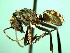  ( - HICD_J19_B)  @13 [ ] CreativeCommons - Attribution (2016) David Donoso Universidad de Cuenca