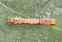  ( - YAWCATCR0697)  @12 [ ] CreativeCommons - Attribution Non-Commercial Share-Alike (2015) C. Redmond Czech Academy of Sciences
