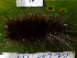  ( - YAWCATCR0834)  @12 [ ] CreativeCommons - Attribution Non-Commercial Share-Alike (2015) C. Redmond Czech Academy of Sciences