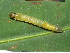  ( - YAWCATCR0210)  @12 [ ] CreativeCommons - Attribution Non-Commercial Share-Alike (2015) C. Redmond Czech Academy of Sciences