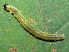  ( - YAWCATCR0230)  @12 [ ] CreativeCommons - Attribution Non-Commercial Share-Alike (2015) C. Redmond Czech Academy of Sciences