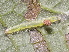  ( - YAWCATCR0190)  @12 [ ] CreativeCommons - Attribution Non-Commercial Share-Alike (2015) C. Redmond Czech Academy of Sciences