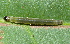 ( - YAWCATCR0640)  @12 [ ] CreativeCommons - Attribution Non-Commercial Share-Alike (2015) C. Redmond Czech Academy of Sciences