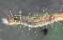  ( - YAWCATCR0603)  @12 [ ] CreativeCommons - Attribution Non-Commercial Share-Alike (2015) C. Redmond Czech Academy of Sciences