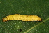  ( - YAWCATCR0539)  @11 [ ] CreativeCommons - Attribution Non-Commercial Share-Alike (2015) C. Redmond Czech Academy of Sciences